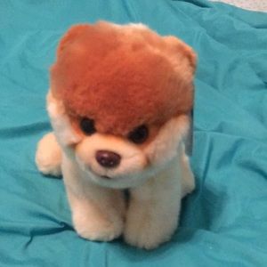 Boo the Pomeranian plush